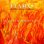 NUEVO DISCO: FLAMAS NUEVO DISCO: FLAMAS